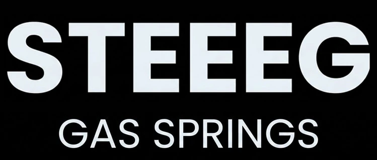STEEEG
