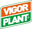 VIGOR PLANT